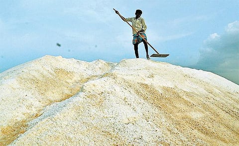 தூத்துக்குடி மாவட்டத்தில் உப்பு உற்பத்தி அதிகரிப்பு﻿: வெளிமாநில ஏற்றுமதி குறைவு; உற்பத்தியாளர்கள் கவலை﻿