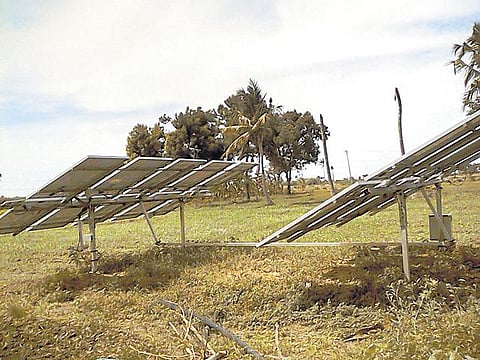 முன்னத்தி ஏர் 44:  இயற்கைக் காய்கறி- லட்சம் ரூபாய்க்கு மேல் லாபம்﻿