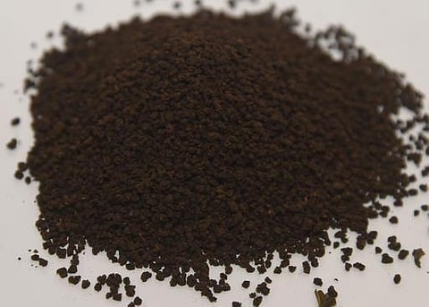 முக்கிய ரத்தக்குழாய் வெடிப்பை தடுக்கும் கிரீன் டீ : ஆய்வில் தகவல்