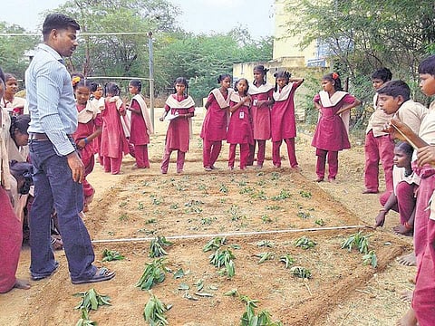 மாடிப்படியும் பாடம் சொல்லும்