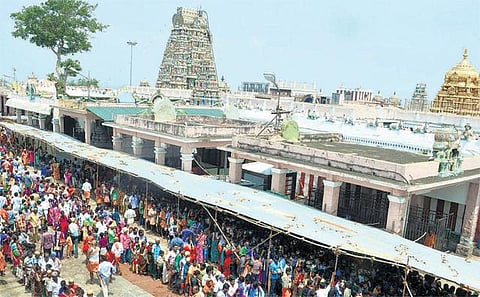பழநி கோயிலில் தினமும் இலவசமாக 2 ஆயிரம் பக்தர்களுக்கு பஞ்சாமிர்த பிரசாதம்: அமைச்சர் சேவூர் ராமச்சந்திரன் தகவல்