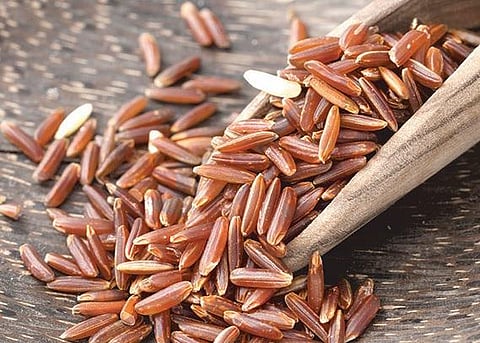 நீரிழிவைக் குறைக்கும் அரிசி﻿!