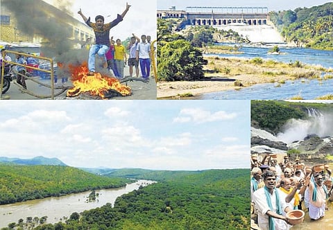 ஒரு நதி: சிக்கலான  பல உண்மைகள்﻿