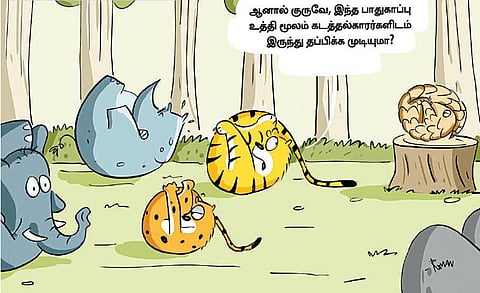 இது ‘பசுமை சிரிப்பு’﻿
