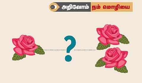 அறிவோம் நம் மொழியை: ஒருமை, பன்மை மயக்கம்﻿