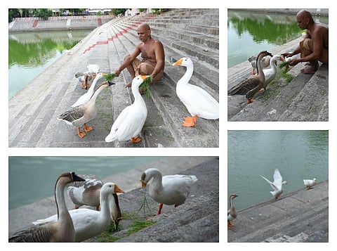 உயிர்களிடத்தில் அன்பு வேண்டும்