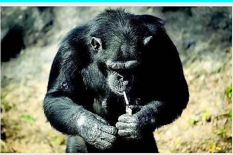 உலக மசாலா: விசித்திர மனிதர்