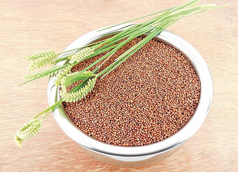உயிர் வளர்த்தேனே 06: ததும்பும் உயிர்ச்சத்தும் தாதுச்சத்தும்﻿