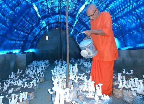 ராமேசுவரம் மீனவர்களுக்கு காளான் வளர்ப்பு மூலம் புத்துயிர் அளிக்கும் துறவி