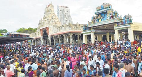 திருச்செந்தூர் கந்தசஷ்டி விழா நாளை மறுநாள் தொடங்குகிறது: நவம்பர் 5-ல் சூரசம்ஹாரம்