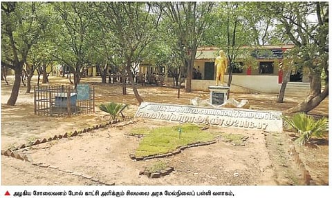 போடி அருகே அரசுப் பள்ளியில் ஆயிரம் மரங்களை வளர்த்து அசத்திய மாணவர்கள்﻿