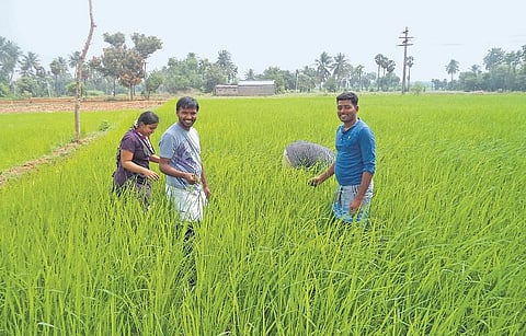 இப்போ நான் விவசாயி: கனடாவில் ஐ.டி. வேலை இந்தியாவில் இயற்கை வேளாண்மை﻿