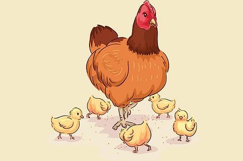 குழந்தைப் பாடல்: வேண்டுகோள்﻿