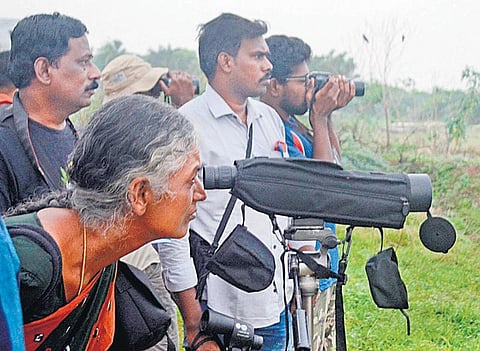 ரூபாய் நோட்டில் பறவை படம் இல்லையே!﻿