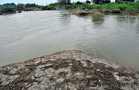 குளிர்பான ஆலைகளுக்கு தாமிரபரணி தண்ணீர் எடுக்க இடைக்கால தடை﻿: உயர் நீதிமன்றம் உத்தரவு﻿