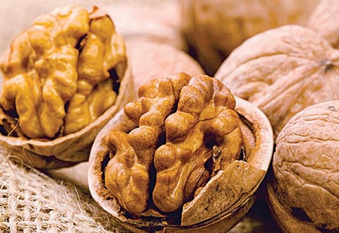 தினம் ஒரு கைப்பிடி வால்நட் போதும் - இளைஞர்களின் மனநிலை மேம்படும்: புதிய ஆய்வில் ஆச்சரியமூட்டும் தகவல்