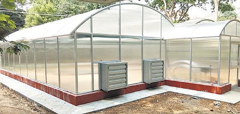 வேளாண் கல்லூரிகளில் உயர் தொழில்நுட்ப ஆய்வுக் கூடம்: செடிகள் வளரும் காலநிலையை கண்டுபிடிக்க ஆராய்ச்சி