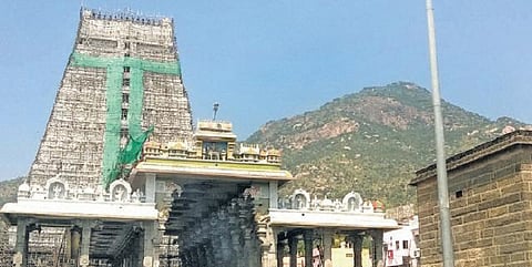 திருவண்ணாமலையில் 30-ல் தீபத் திருவிழா தொடக்கம்: தமிழகம் முழுவதும் இருந்து 2.400 சிறப்பு பேருந்துகள் இயக்கம்