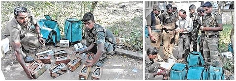துல்லிய கணக்கெடுப்பு - பொள்ளாச்சி வனச் சரகத்தில் புலிகளின் எண்ணிக்கையை அறியத் தயாராகும் வனத் துறை﻿