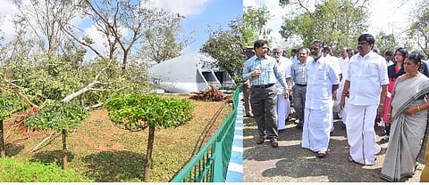வண்டலூர் உயிரியல் பூங்காவில் முதல்வர் ஓ.பன்னீர்செல்வம் ஆய்வு
