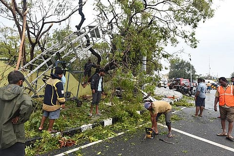 விடிய விடிய மரம் வெட்டிய தீயணைப்பு படையினர்﻿: பொதுமக்கள் பாராட்டு﻿