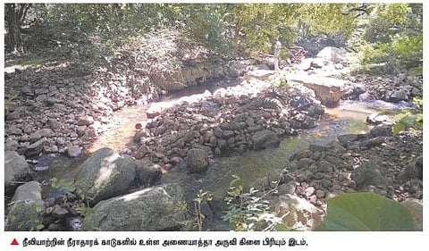 நொய்யல் இன்று 7: நீராதாரக் காடுகளில் தொடரும் அத்துமீறல்கள்﻿