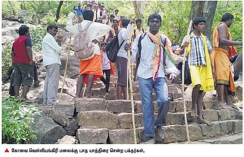 நொய்யல் இன்று 8: வெட்டப்பட்ட மரங்கள்; அழிக்கப்படும் இயற்கை சூழல்﻿; புவி வெப்பமயமாதல் நீராதாரங்களை பாதித்துள்ளதா?