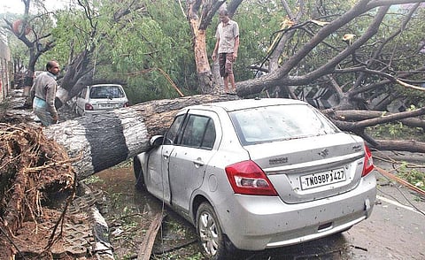 வார்தா போன்று எத்தனை புயல்களைச்  சென்னை தாங்கும்?
