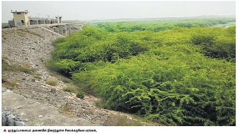 நொய்யல் இன்று 22: ஒரத்துப்பாளையம், சின்னமுத்தூர், கார்வழி அணைகளின் தற்போதைய நிலை﻿