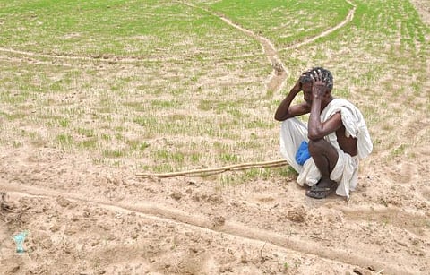 60 சதவீதம் மழை குறைவால் பயிர்கள் பாதிப்பு﻿: வறட்சி மாநிலமாக தமிழகம் அறிவிக்கப்பட்டால் என்ன நிவாரணம் கிடைக்கும்?﻿