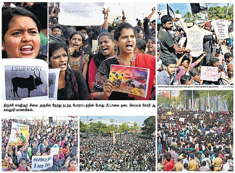 தமிழகத்தை ஸ்தம்பிக்க வைத்த இளைஞர்கள்: சிறப்பு புகைப்பட தொகுப்பு