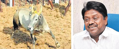 10 ஆண்டுகளாக சொந்த செலவில்﻿﻿ சட்டப் போராட்டங்களை தொடர்ந்து நடத்தும் ‘ஜல்லிக்கட்டு நாயகன்’ ராஜசேகர்﻿