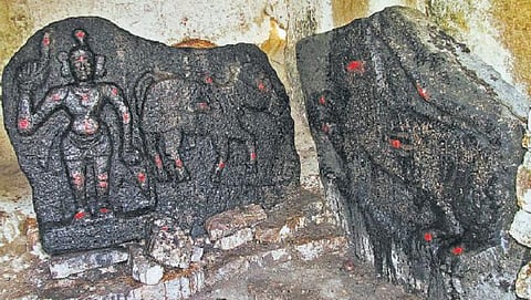 காளைகளுக்கு கோயில் கட்டி வழிபடும் தமிழக கிராமங்கள்: தொல்காப்பியம், பெரும்பாணாற்றுப்படை காட்டும் ஆதாரம்﻿