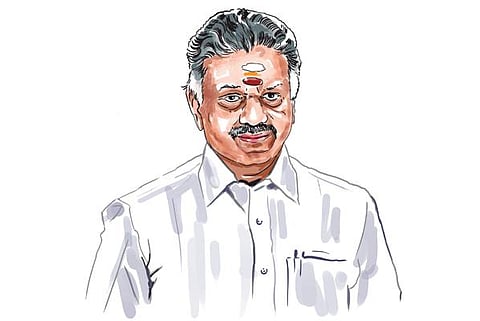 ஜல்லிக்கட்டு போராட்டம், டெல்லி பயணம், அவசரச் சட்டம்: ஓபிஎஸ்-க்கு மக்கள் செல்வாக்கு அதிகரிப்பு