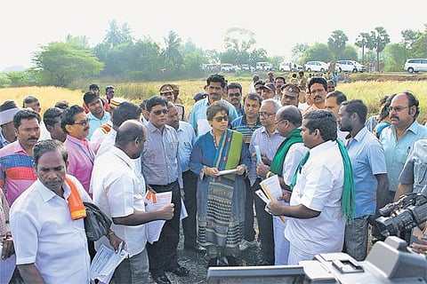 கடும் வறட்சி: மத்திய குழு நேரில் ஆய்வு﻿- கடலூர் விவசாயிகளின் எதிர்பார்ப்பு என்ன?