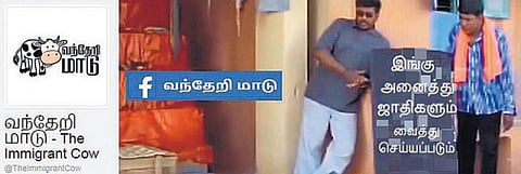 வந்தேறி மாட்டின் ஜல்லிக்கட்டு!﻿