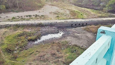 தமிழக அரசியல் சண்டைகளால் வறண்டது பவானி?﻿- தேக்குவட்டை அணையால் பாதிக்கப்பட்ட விவசாயிகள் வேதனை﻿
