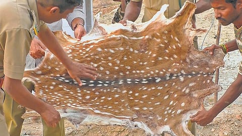 மாவோயிஸ்ட் தேடுதல் வேட்டையின்போது பிடிபடும் சமூக விரோத கும்பல்கள்﻿: வனத் துறையினருடன் கைகோர்க்கும் அதிரடிப்படை போலீஸார்﻿