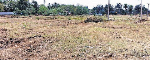 சீமைக் கருவேல மரங்கள் அழிப்புப் பணியில் ஈடுபடும்﻿﻿ தன்னார்வலர்களுக்கு பாராட்டுச் சான்றிதழ் வழங்க வேண்டும்﻿: ஆட்சியருக்கு சமூக ஆர்வலர்கள் வலியுறுத்தல்﻿﻿