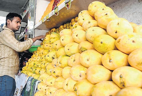 செயற்கையாக பழுக்க வைத்த 1 டன் மாம்பழங்கள் பறிமுதல்﻿: உணவு பாதுகாப்பு துறை நடவடிக்கை﻿