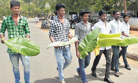 பாலிதீன் இலைகளை தடை செய்யக் கோரி﻿ சிவகங்கை ஆட்சியரிடம் மனு வழங்க வாழை இலைகளுடன் வந்த இளைஞர்கள்﻿