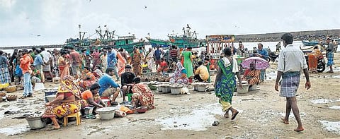 விஐபி தொகுதியாக ஆர்.கே.நகர் மாறிய பின்னும்﻿ மேம்படுத்தப்படாத காசிமேடு மீன்பிடி துறைமுகம்﻿: அடிப்படை வசதிகள் இல்லை என மீனவர்கள் குற்றச்சாட்டு﻿