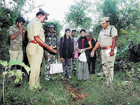 விருதுநகர் மேற்குத் தொடர்ச்சி மலை பகுதியில்﻿﻿ வனவிலங்குகள் கணக்கெடுக்கும் பணி தொடக்கம்﻿