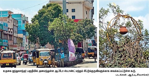 சிட்டுக்குருவிகளை காக்கும் பணியில் உதகை ஆட்டோ ஓட்டுநர்கள்﻿