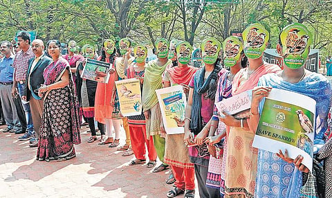 சிட்டுக்குருவிகள் தின கொண்டாட்டங்கள்﻿: முகமூடி அணிந்து மாணவர்கள் விழிப்புணர்வு﻿