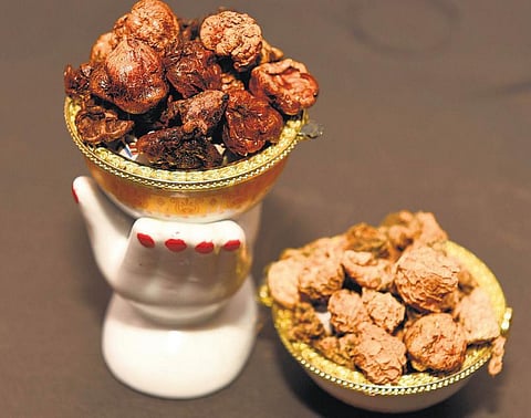 வகைவகையா வடாம், வற்றல், ஊறுகாய்: சுக்காங்காய் வற்றல்