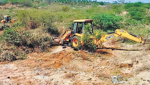 ‘கோவை குளங்களைப் பாதுகாக்க பொதுமக்கள் குழுக்கள்’﻿ - சீமைக் கருவேல மரங்களை அகற்ற தன்னார்வலர்கள் முயற்சி﻿
