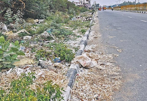 நீர்நிலைகள், சாலையோரம் கொட்டப்படும் இறைச்சி கழிவுகளால் சுகாதார சீர்கேடு﻿