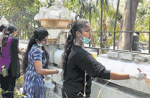 தி இந்து செய்தி எதிரொலி: புதுப்பொலிவு பெற்றது வள்ளுவர் கோட்டம்﻿