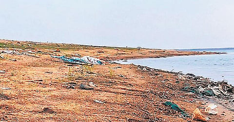 வறண்டுவரும் திருமூர்த்தி அணை﻿: 6 மாதங்களுக்கு சமாளிக்கலாம் என நம்பிக்கை﻿